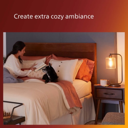 Philips 3.5-Watt (25-Watt) T10 Vintage LED Light Bulb - Amber Light (2000K) Perspective: top