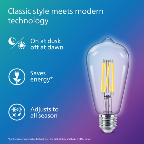 Philips Dusk to Dawn, 60Watt Replacement, Edison Vintage ST19 LED Light Bulb, Soft White Light Bulb Perspective: top