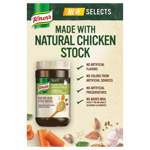 Knorr Selects Chicken Flavor Bouillon Granulated Perspective: top