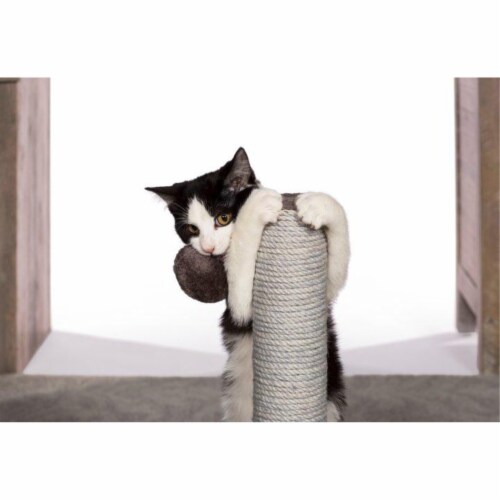 Prevue Pet Products Kitty Power Paws Play & Scratch Perspective: top