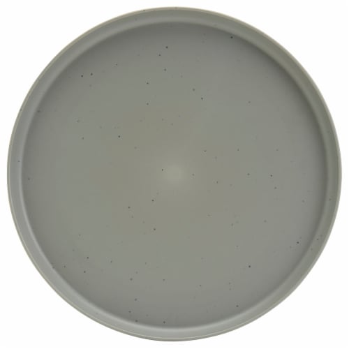 Tabletops Unlimited Smart Planet Dinner Plate - Gray Perspective: top