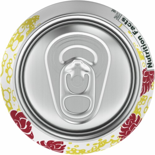 Hansen's Diet Ginger Ale Perspective: top