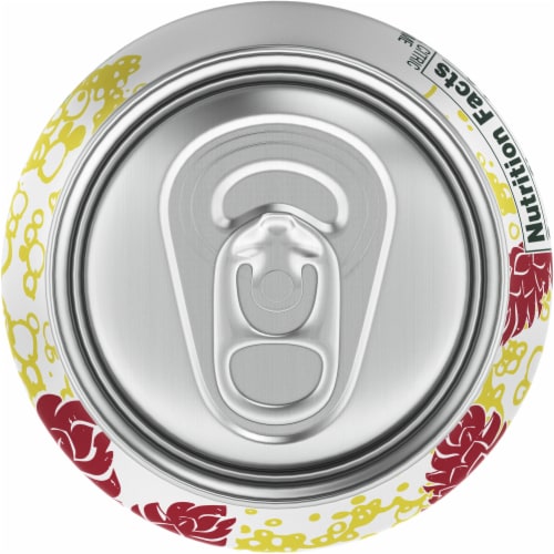 Hansen's Diet Ginger Ale Perspective: top