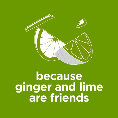 Diet Coke Ginger Lime Diet Soda Pop No Sugar Added Zero Calorie Soft Drink Fridge Pack Perspective: top