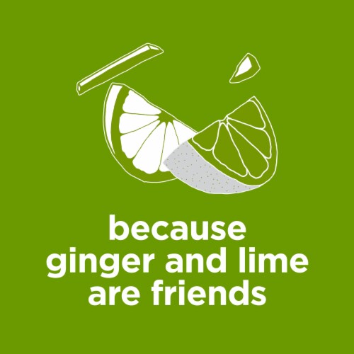 Diet Coke Ginger Lime Diet Soda Pop No Sugar Added Zero Calorie Soft Drink Fridge Pack Perspective: top