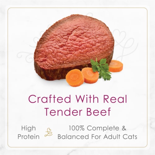 Purina Fancy Feast Petites Wet Cat Food in Gravy Tender Beef with Carrots Perspective: top