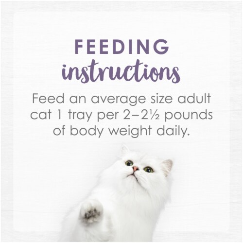 Fancy Feast® Purely Natural White Meat Chicken & Beef Entree Adult Wet Cat Food Perspective: top