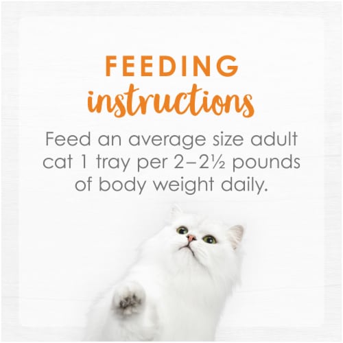 Fancy Feast® Purely Grain-Free Natural White Meat Chicken Entree Adult Wet Cat Food Perspective: top