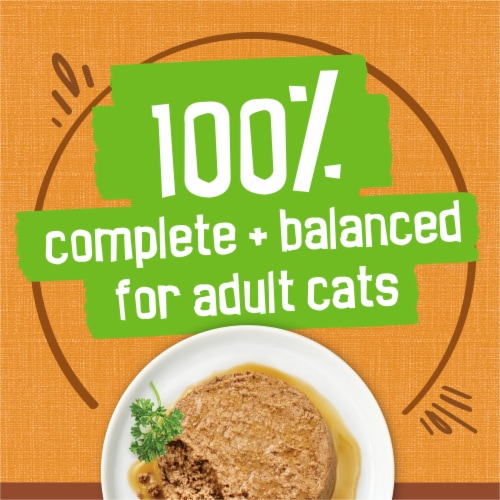 Purina Friskies Extra Gravy Wet Cat Food Pate with Chicken in Savory Gravy Perspective: top