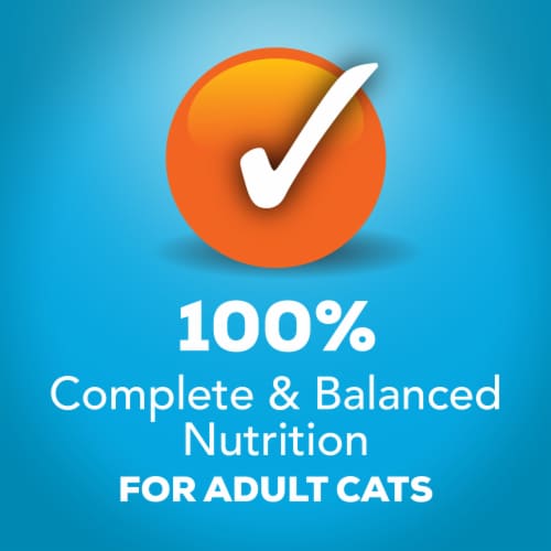 Purina Friskies Extra Gravy Wet Cat Food Pate with Tuna in Savory Gravy Perspective: top