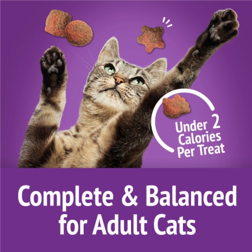 Purina Friskies Party Mix Cat Treats Gravy-licious Crunch Turkey and Gravy Flavors Perspective: top