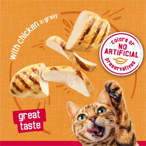 Purina Friskies Prime Filets Wet Cat Food in Gravy Chicken Perspective: top