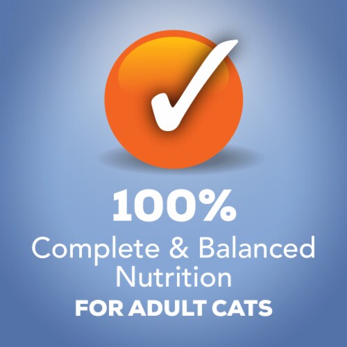 Purina Friskies Shreds Wet Cat Food Variety Pack Perspective: top
