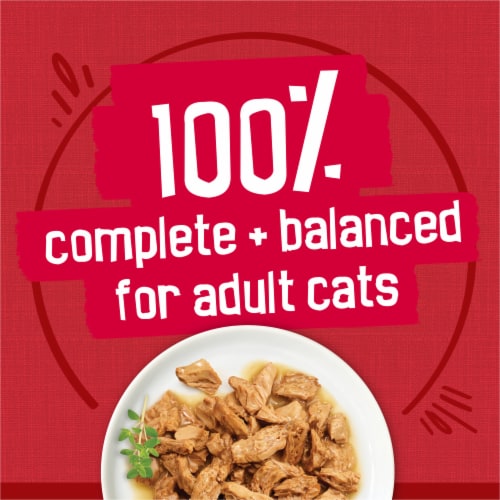 Purina Friskies Prime Filets Wet Cat Food in Gravy Beef Perspective: top