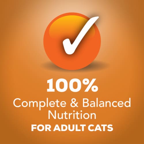 Purina Friskies Extra Gravy Chunky Wet Cat Food in Savory Gravy Chicken Perspective: top