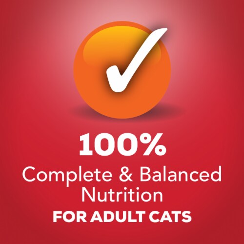 Purina Friskies Extra Gravy Chunky Wet Cat Food in Savory Gravy Beef Perspective: top