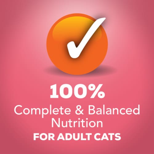 Friskies® Extra Gravy with Salmon Chunky Wet Cat Food Perspective: top