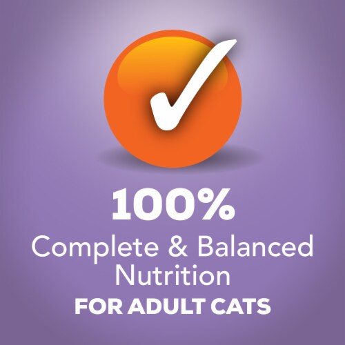 Purina Friskies Extra Gravy Chunky Wet Cat Food in Savory Gravy Turkey Perspective: top