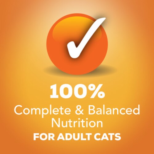 Friskies® Chicken Lovers Prime Filets & Shreds in Gravy Wet Cat Food Variety Pack Perspective: top