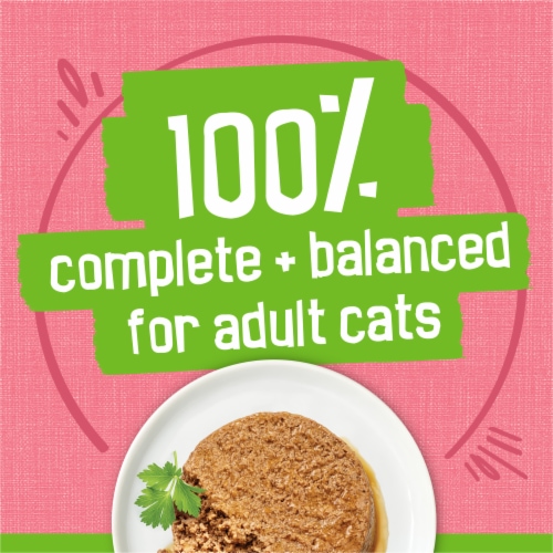 Purina Friskies Wet Cat Food Pate Salmon Dinner Perspective: top