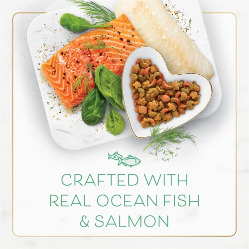 Purina Fancy Feast Adult Dry Cat Food Ocean Fish & Salmon Perspective: top