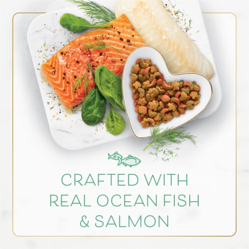 Purina Fancy Feast Adult Dry Cat Food Ocean Fish & Salmon Perspective: top