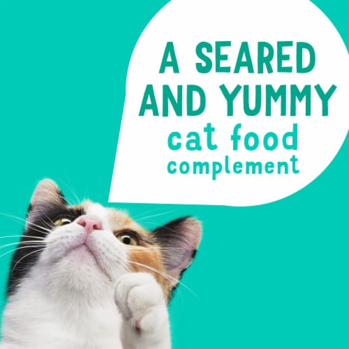 Purina Friskies Lil Grillers Wet Cat Food Complement in Gravy Seared Cuts with Ocean Fish Perspective: top