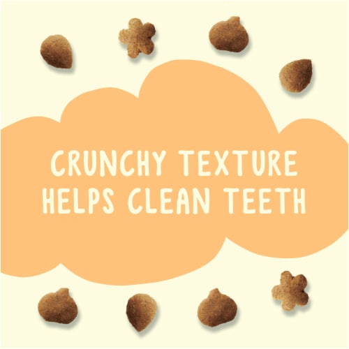 Friskies Party Mix Pumpkin Natural Yums Cat Treats Perspective: top