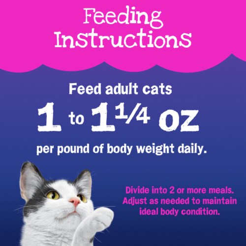 Friskies® Stuf'd & Sauc'd Jamm'n with Salmon & Shrimp Wet Cat Food Perspective: top