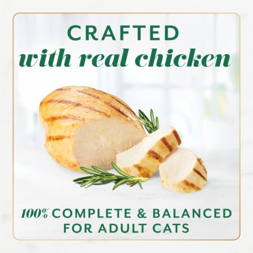 Purina Fancy Feast Gems Wet Cat Food Mousse Pate with Chicken and Halo of Savory Gravy Perspective: top