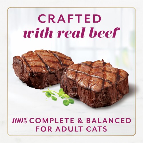 Purina Fancy Feast Gems Wet Cat Food Mousse Pate with Beef and Halo of Savory Gravy Perspective: top