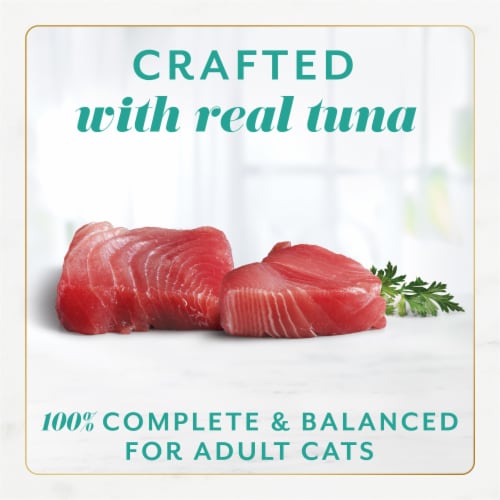 Purina Fancy Feast Gems Wet Cat Food Mousse Pate with Tuna and Halo of Savory Gravy Perspective: top