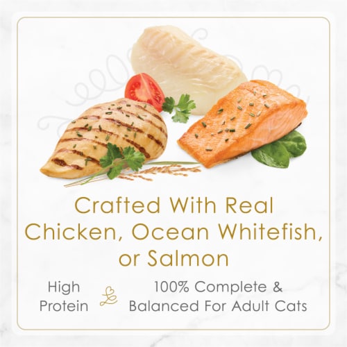 Purina Fancy Feast Petites Wet Cat Food in Gravy Variety Pack Perspective: top