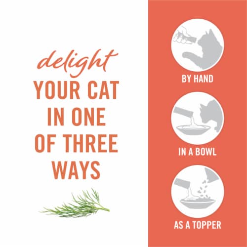 Purina Fancy Feast Savory Puree Naturals Cat Treats with Natural Salmon & Tuna in Demi-Glace Perspective: top
