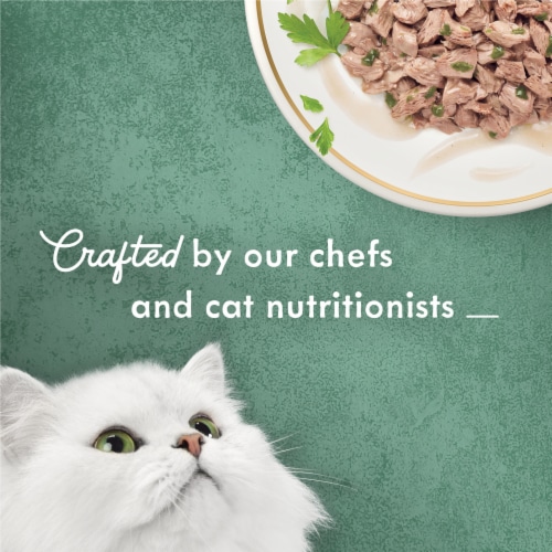 Purina Fancy Feast Medleys Wet Cat Food Wild Salmon Florentine in Savory Broth Perspective: top