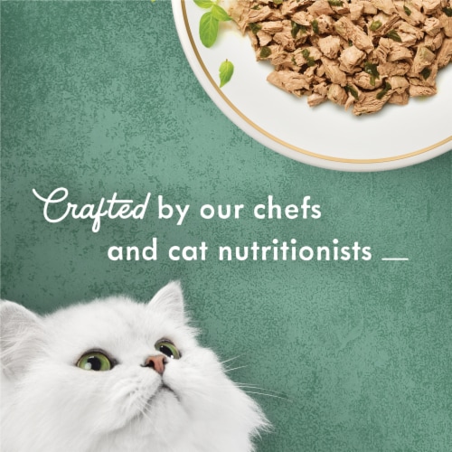 Purina Fancy Feast Medleys Wet Cat Food Shredded Tuna Fare in Savory Broth Perspective: top