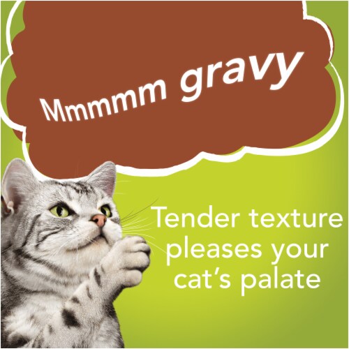 Friskies® Gravy Sensations Farm & Fish Variety Pack Wet Cat Food Perspective: top