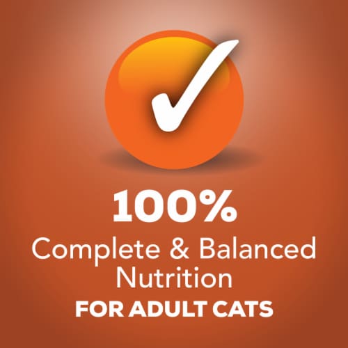 Purina Friskies Indoor Wet Cat Food in Gravy Chunky Chicken & Turkey Casserole Perspective: top
