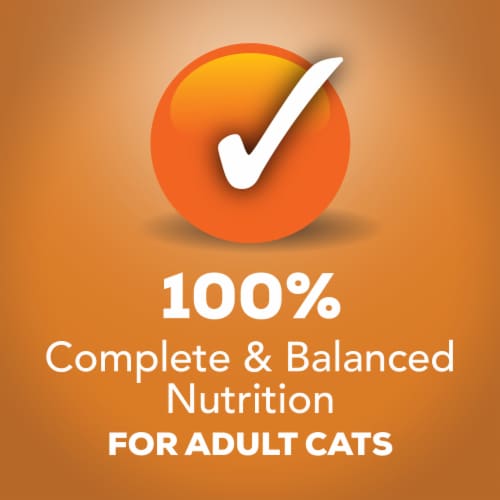Purina Friskies Indoor Wet Cat Food Pate Chicken Dinner Perspective: top