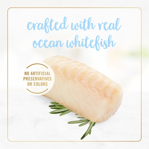 Purina Fancy Feast Tender Ocean Whitefish Feast Wet Kitten Food Perspective: top
