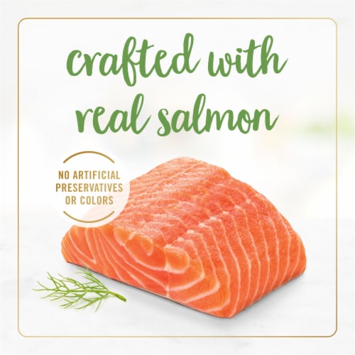 Purina Fancy Feast Gravy Lovers Wet Cat Food Grilled Salmon Feast in Gravy Perspective: top