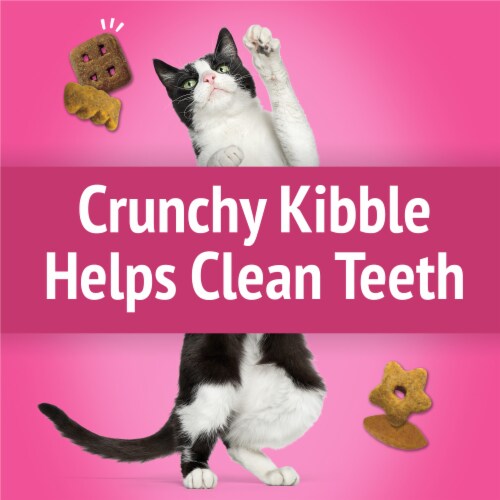Purina Friskies Cat Treats, Party Mix California Crunch With Chicken Perspective: top