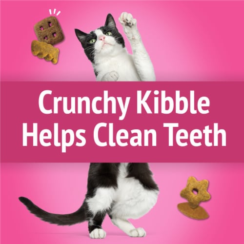 Purina Friskies Cat Treats, Party Mix California Crunch With Chicken Perspective: top