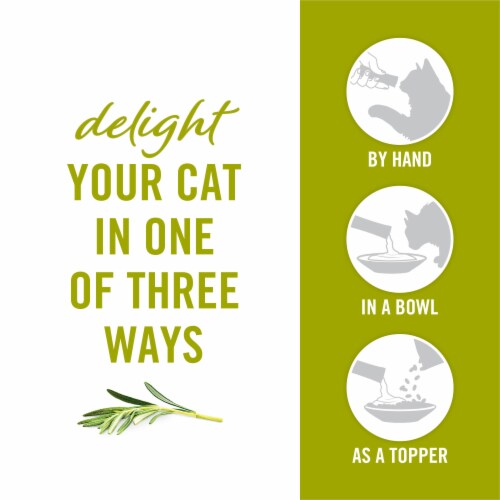Purina Fancy Feast Savory Puree Naturals Cat Treats with Natural Chicken in Demi-Glace Perspective: top