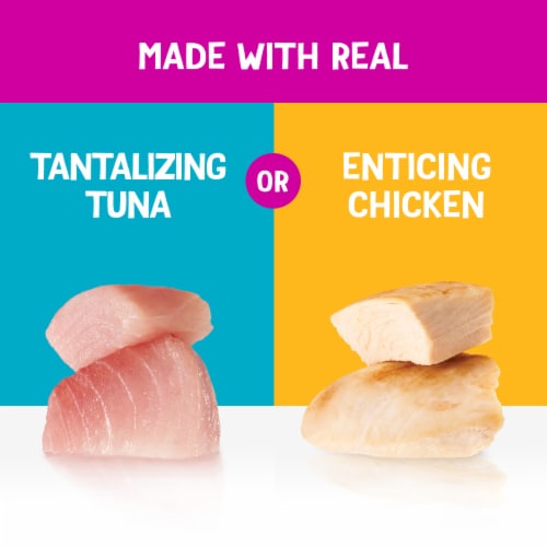 Purina Friskies Lil' Shakes Wet Cat Treats with Enticing Chicken Perspective: top