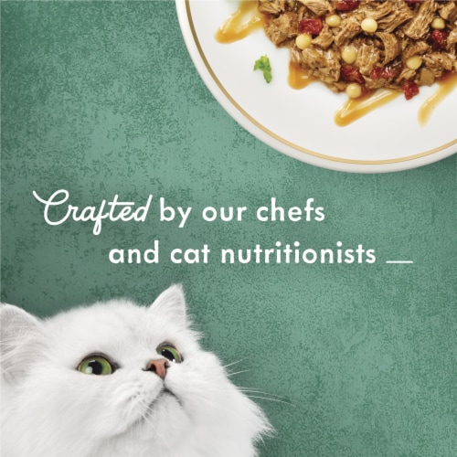 Purina Fancy Feast Medleys Wet Cat Food Beef Ragu Recipe in a Savory Sauce Perspective: top