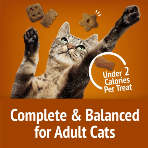 Purina Friskies Party Mix Cat Treats Chicken Lovers Crunch Perspective: top