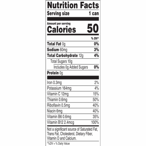 V8 + Energy Sparkling Blackberry Cranberry Energy Drink Perspective: top