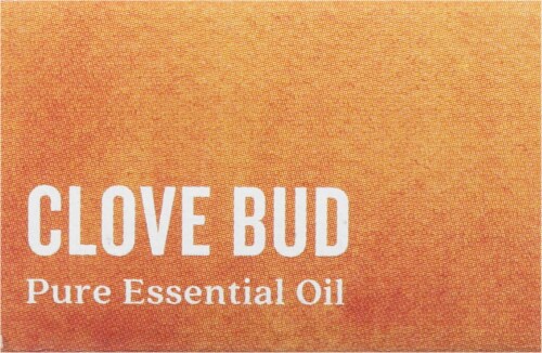 Aura Cacia Clove Bud, Boxed (1.5 in) Perspective: top