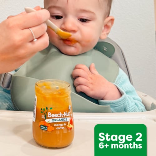 Beech-Nut® Organics Stage 2 Apple Pumpkin & Granola Organic Baby Food Jar Perspective: top